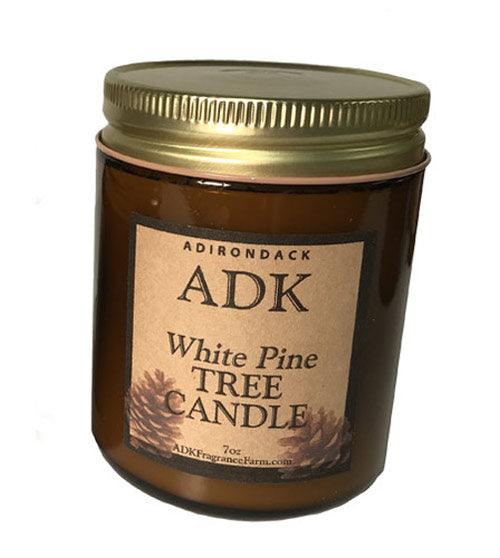 ADK WHITE PINE TREE CANDLE 7OZ Made in Potsdam, NY