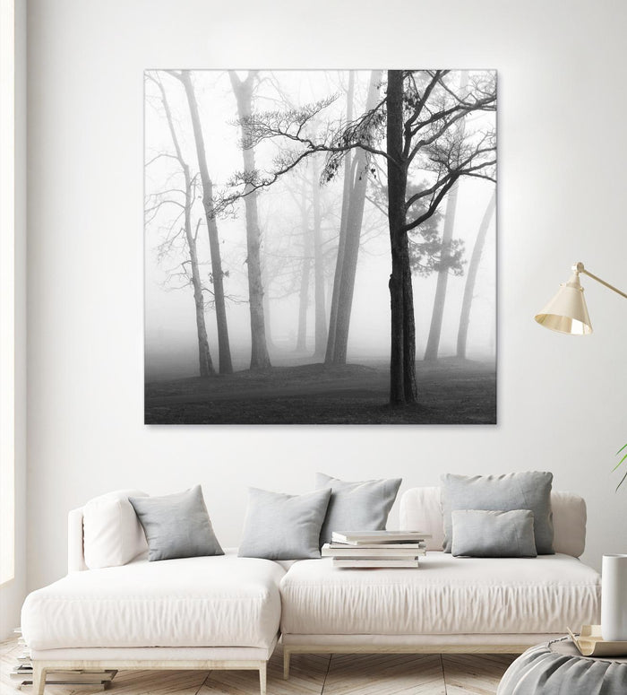 Etheral Trees by Nicholas Bell on GIANT ART - pink,orange landscapes, photography