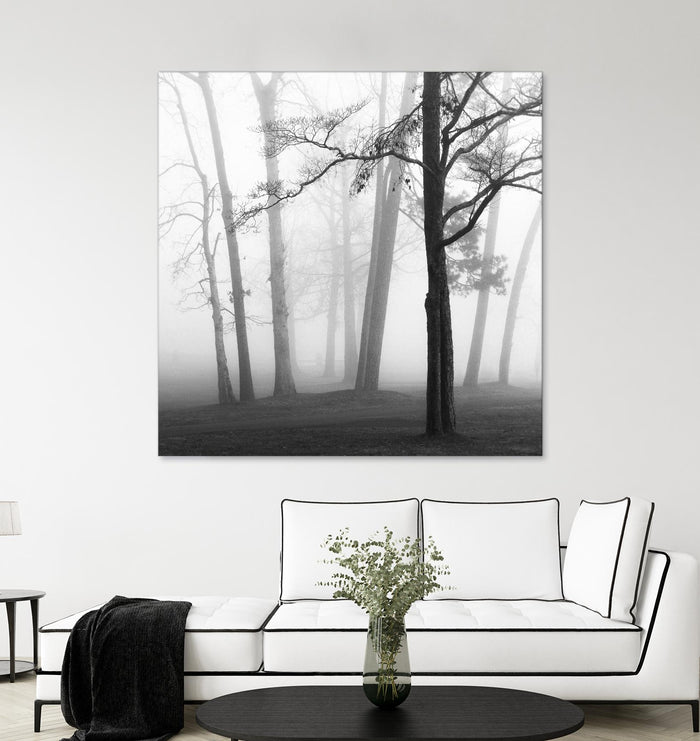 Etheral Trees by Nicholas Bell on GIANT ART - pink,orange landscapes, photography