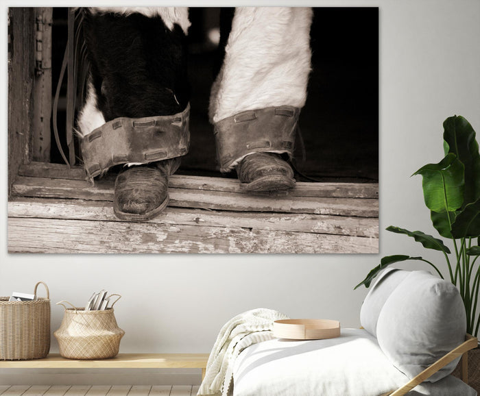 Furry Chaps by Lisa Dearing on GIANT ART - multicolor photography; figurative