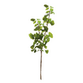 Ginko Branch, Bundle of 2 - 13 Hub Lane   |  Botanical Branches