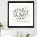 L'arbre Platane by Henri Matisse  on GIANT ART - museums