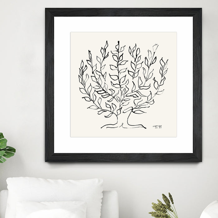 L'arbre Platane by Henri Matisse  on GIANT ART - museums