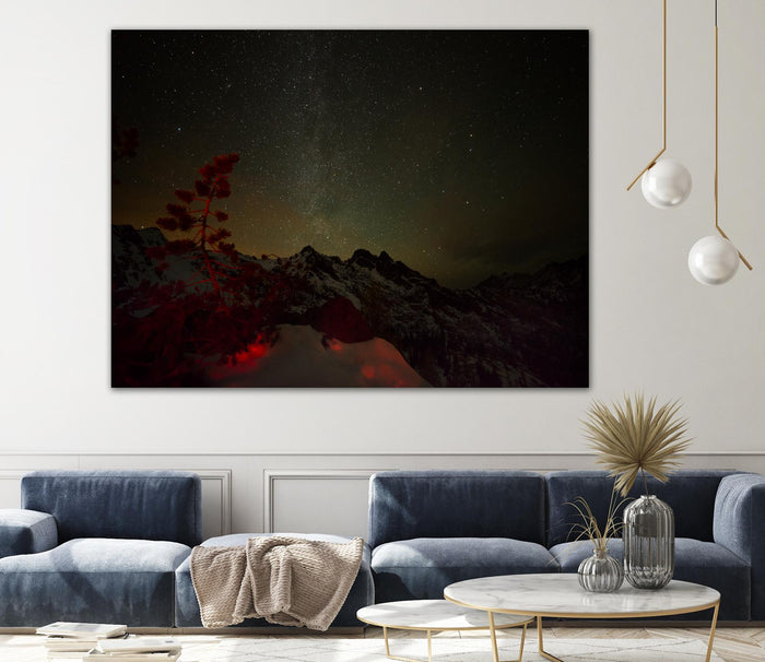 Photograph 15 by Keith Morgan on GIANT ART - black photo art